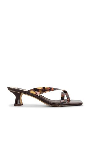 SANDALES BREVEL en . Taille 6.5. Also en 7.5, 8 - Dolce Vita - Modalova