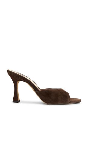 SANDALES ROSHA en . Taille 6. Also en 6.5, 7, 7.5, 8, 8.5, 9.5, 10 - Dolce Vita - Modalova
