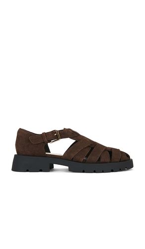 SANDALES ELSAH en . Taille 6. Also en 6.5, 7, 7.5, 8, 8.5, 9, 9.5, 10 - Dolce Vita - Modalova