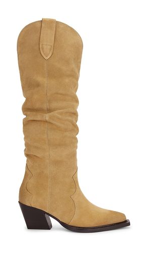 BOTTINES BUCKLY en . Taille 6. Also en 6.5, 7, 7.5, 8, 8.5, 9 - Dolce Vita - Modalova