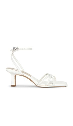 SANDALES MANJI en . Taille 8. Also en 8.5, 9, 9.5 - Dolce Vita - Modalova