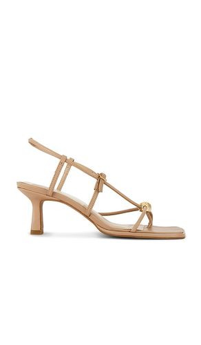 SANDALES MYLEE en . Taille 7. Also en 8, 9, 10 - Dolce Vita - Modalova