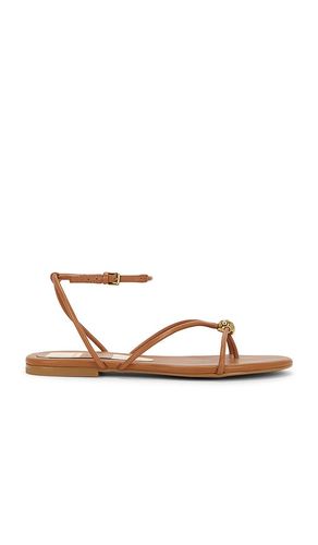 SANDALES KENLEY en . Taille 6.5. Also en 8.5, 9.5 - Dolce Vita - Modalova