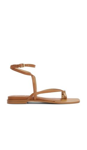 SANDALES TYRICE en . Taille 6.5. Also en 7, 7.5, 8, 8.5, 9.5 - Dolce Vita - Modalova