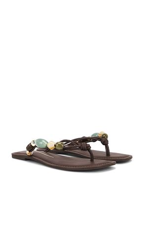 SANDALES CELY en . Taille 6. Also en - Dolce Vita - Modalova