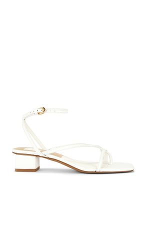 ESCARPINS KARLOS en . Taille 6. Also en 6.5, 7.5, 8, 8.5, 9, 9.5 - Dolce Vita - Modalova