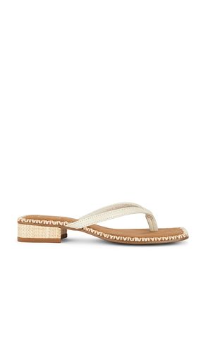 SANDALES TONG BARTY en . Taille 6. Also en 7.5, 8, 8.5, 10 - Dolce Vita - Modalova
