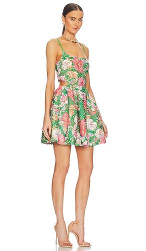 ROBE MIKAELA en . Taille S. Also en L, XL - ELLIATT - Modalova