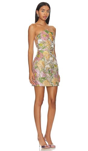 ROBE BUSTIER PATRICIA en . Taille S. Also en XS, M, L, XXL - ELLIATT - Modalova