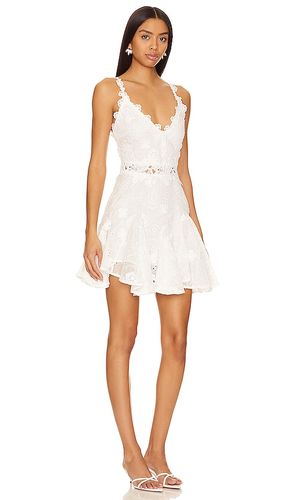 ROBE SALOME en . Taille M. Also en L, XL - ELLIATT - Modalova
