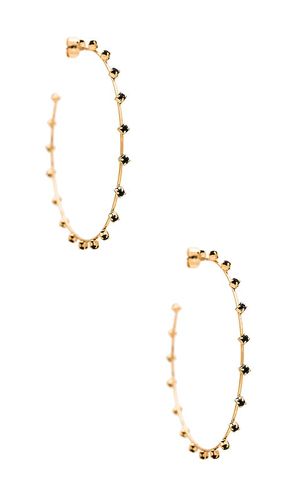 CRÉOLES STUDDED en - Ettika - Modalova