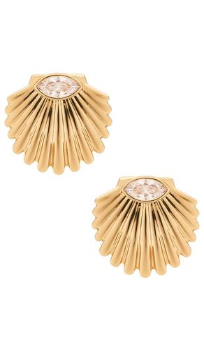 CLOUS D'OREILLES SEA LIFE in - Ettika - Modalova