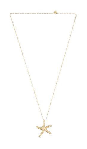 SAUTOIR PENDENTIF STARTFISH in - Ettika - Modalova