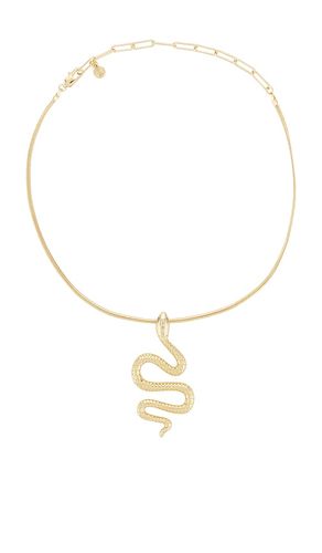 COLLIER RAS DU COU SLITHER SNAKE in - Ettika - Modalova