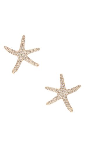 CLOUS D'OREILLES PAVE en - Ettika - Modalova