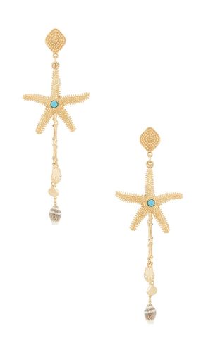 BOUCLES D'OREILLES PENDANTES STARFISH en - Ettika - Modalova