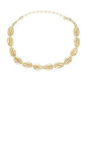 COLLIER COWRIE en - Ettika - Modalova
