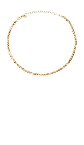 COLLIER CHAÎNE GOLDEN en - Ettika - Modalova