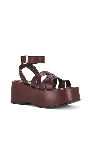 SANDALES HAZEL en . Taille 8. Also en 9.5, 10, 11 - Free People - Modalova