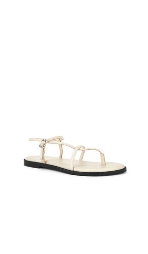 SANDALES CORSICA STRAPPY en . Taille 6. Also en 6.5, 7, 7.5, 8, 8.5, 9, 9.5, 10 - Free People - Modalova