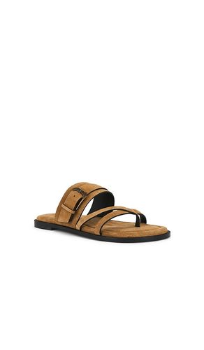 SANDALES BELTED CROSS STRAP en . Taille 6. Also en 6.5, 7, 7.5, 8, 8.5, 9, 9.5, 10, 11 - Free People - Modalova