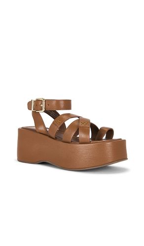 SANDALES HAZEL FLATFORM en . Taille 6. Also en 6.5, 7, 7.5, 8, 8.5, 9, 9.5, 10, 11 - Free People - Modalova