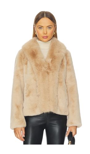 Dasha Faux Fur Jacket en . Taille S. Also en XS, XL - Generation Love - Modalova