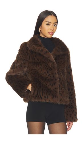 Lexy Leopard Faux Fur Jacket en . Taille M. Also en L, XL - Generation Love - Modalova