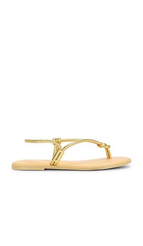 SANDALES UNA AA en . Taille 36. Also en - Havaianas - Modalova