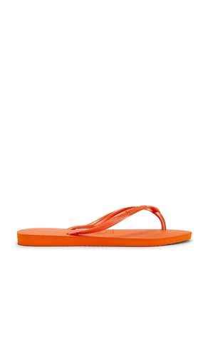 SANDALES SLIM en . Taille 35/36. Also en - Havaianas - Modalova