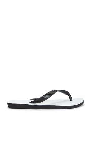 SANDALES TRADICIONAL en ,. Taille 35/36. Also en - Havaianas - Modalova