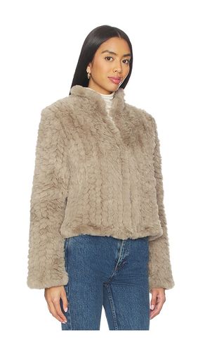 BLOUSON DELINE en . Taille S. Also en XS, L, XL - HEARTLOOM - Modalova
