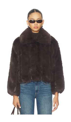 Lana Jacket en . Taille L. Also en XL - HEARTLOOM - Modalova