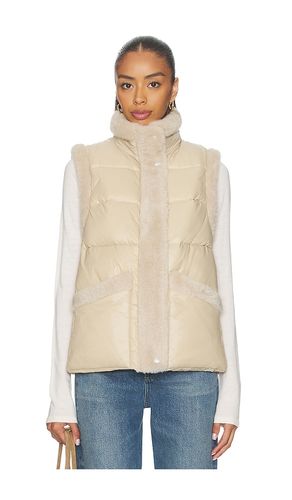 Serra Vest en . Taille S. Also en XS - HEARTLOOM - Modalova