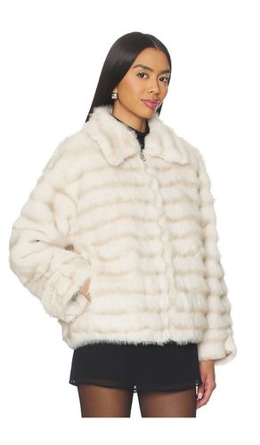 MANTEAU CAIRO en . Taille M. Also en L, XL - HEARTLOOM - Modalova