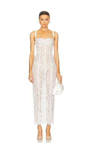 ROBE THE LACE COLUMN en . Taille S. Also en XXS, XS, M - Helsa - Modalova