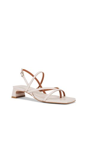 SANDALES PUP en . Taille 36. Also en - INTENTIONALLY BLANK - Modalova