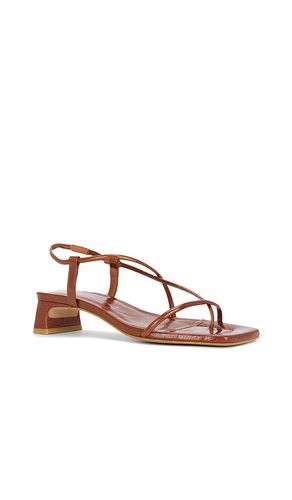 SANDALES ANCA en . Taille 36. Also en - INTENTIONALLY BLANK - Modalova