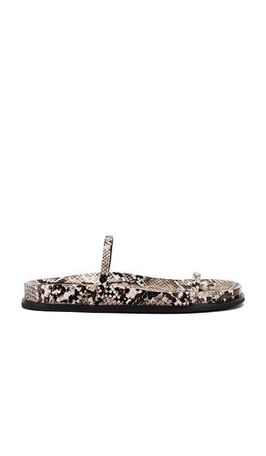 SANDALES DE MILO in . Size 6 - Jeffrey Campbell - Modalova