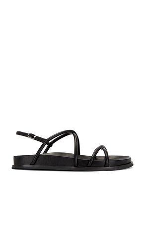 SANDALES LA EMPRESS in . Size 9.5 - Jeffrey Campbell - Modalova