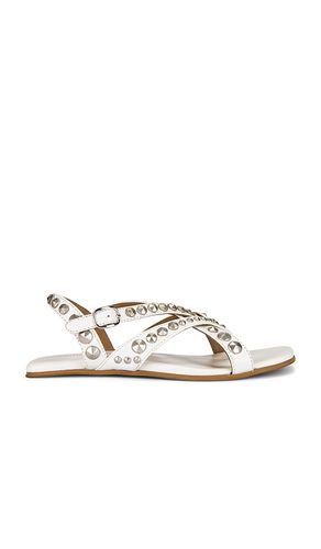 SANDALES XANTHE en . Taille 6. Also en 7, 8 - Jeffrey Campbell - Modalova