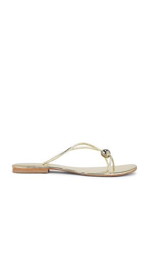 SANDALES CHERISHED in . Size 11, 9 - Jeffrey Campbell - Modalova