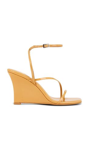 SANDALES HIGHLIGHT in . Size 6, 6.5, 7, 7.5, 8, 8.5, 9, 9.5 - Jeffrey Campbell - Modalova