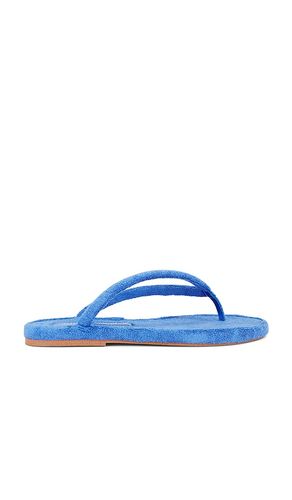 SANDALES JIA-TC in . Size 6, 6.5, 7, 7.5, 8, 8.5, 9, 9.5 - Jeffrey Campbell - Modalova