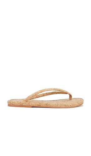PANTOUFLES JIA in . Size 11, 6, 6.5, 7, 7.5, 8, 8.5, 9, 9.5 - Jeffrey Campbell - Modalova
