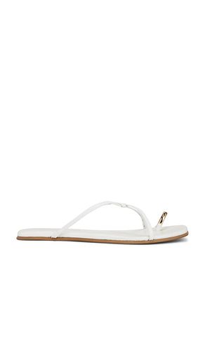 PLATES TIDEPOOL in . Size 11, 6, 7, 8, 9 - Jeffrey Campbell - Modalova