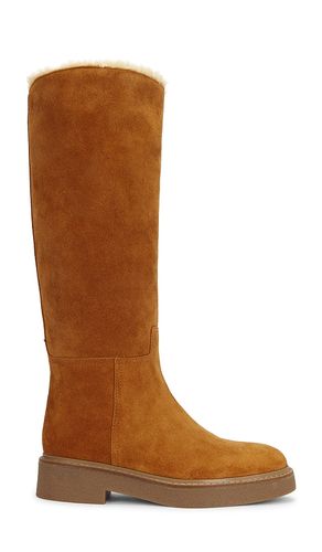 BOTTINES ZABINI en . Taille 9. Also en 9.5 - Jeffrey Campbell - Modalova