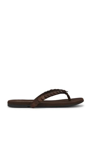 SANDALES MOANA en . Taille 6. Also en 6.5, 7, 7.5, 8.5, 9 - Jeffrey Campbell - Modalova