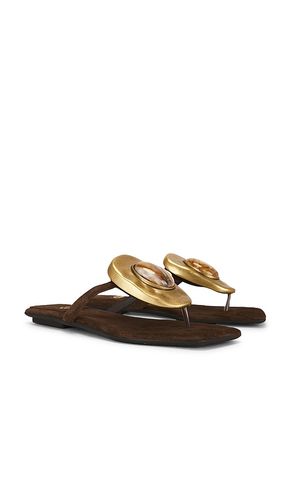 SANDALES BAZAAR FLAT en . Taille 6.5. Also en 7.5, 8, 8.5 - Jeffrey Campbell - Modalova