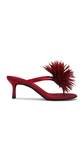 SANDALES FIREWORK en . Taille 6. Also en 7, 8, 9 - Jeffrey Campbell - Modalova
